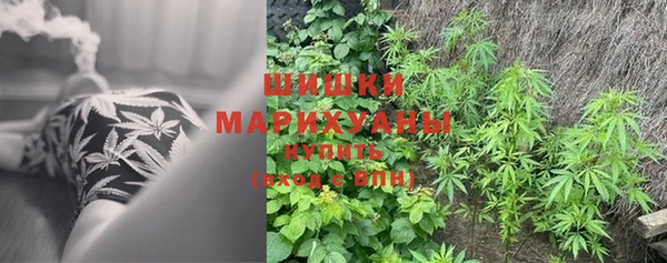 молекула духа Аркадак