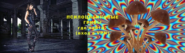 первитин Армянск
