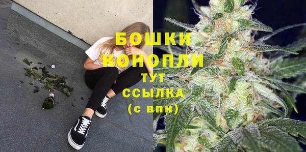 молекула духа Аркадак